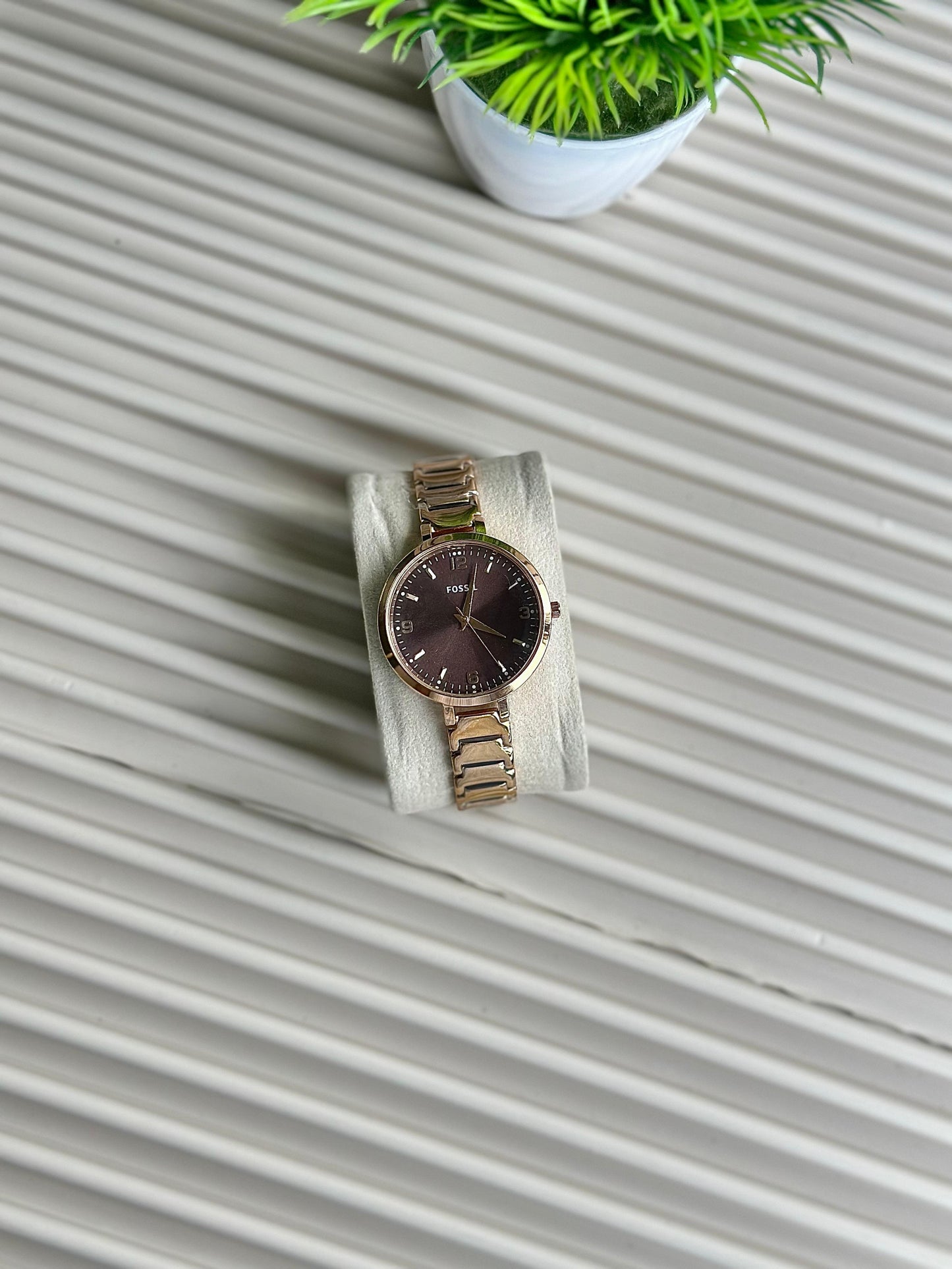FOSSIL WATCH