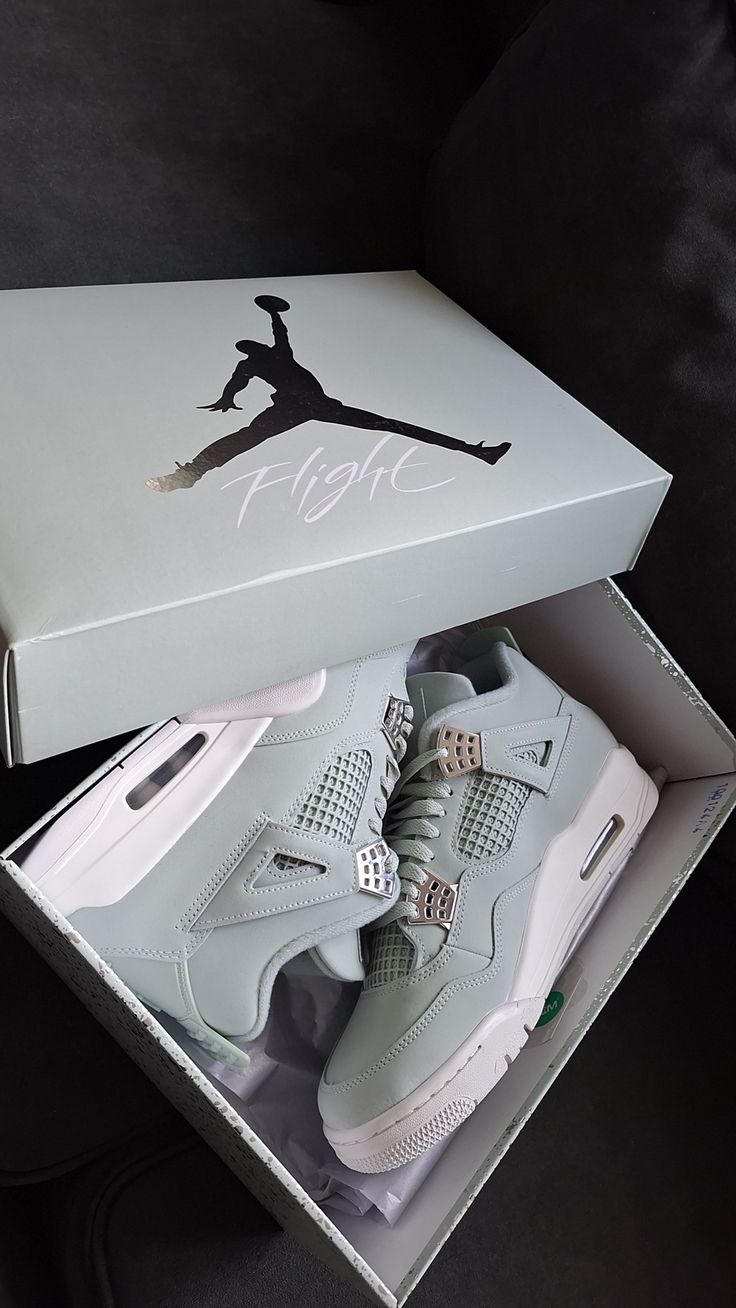 AIR JORDAN 4 ABUNDANCE