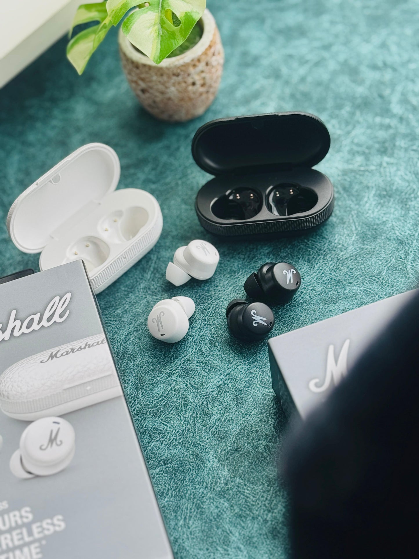 MARSHALL MODE 2 EARBUDS