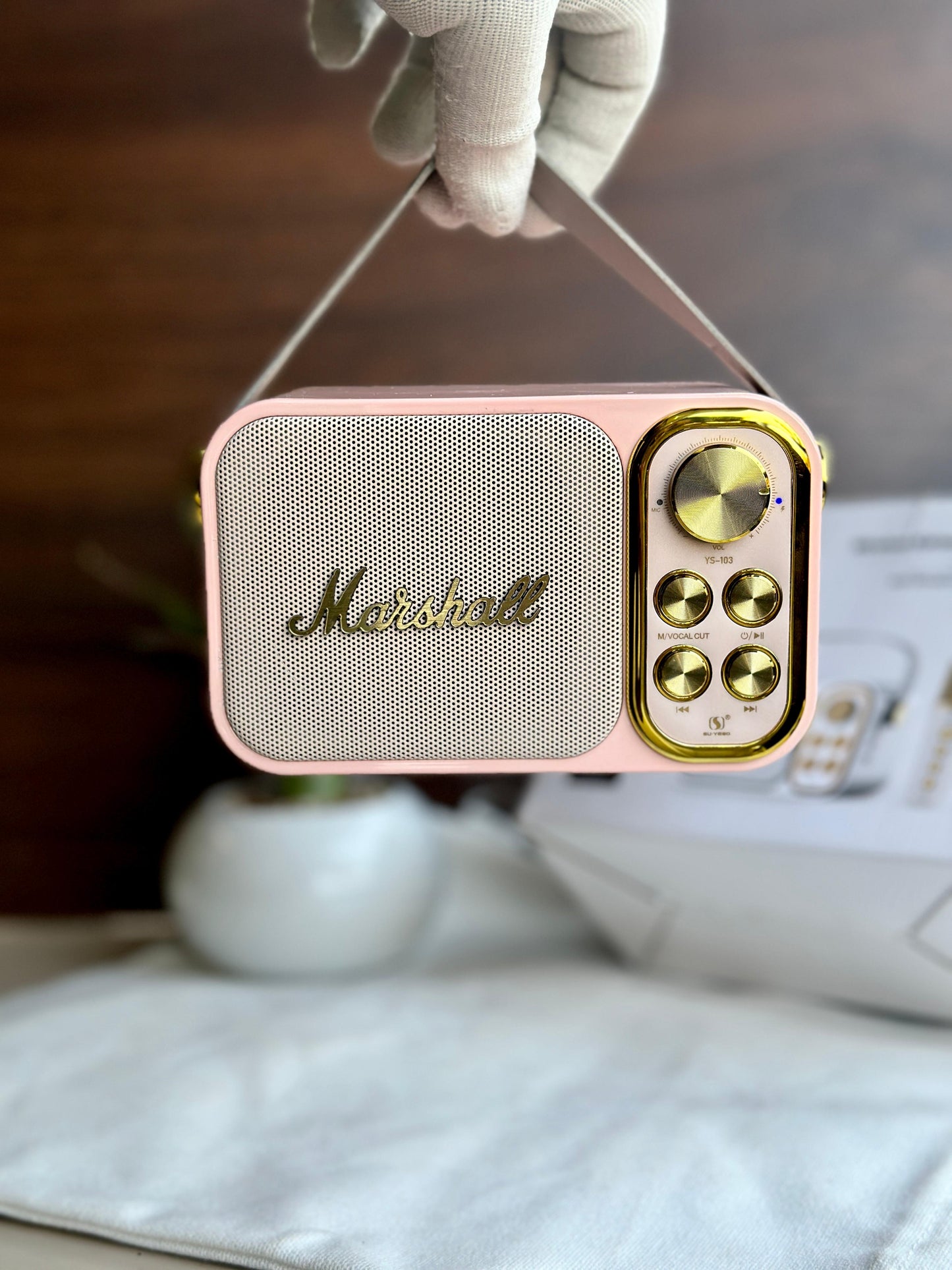 MARSHALL SPEAKER WITH MIC