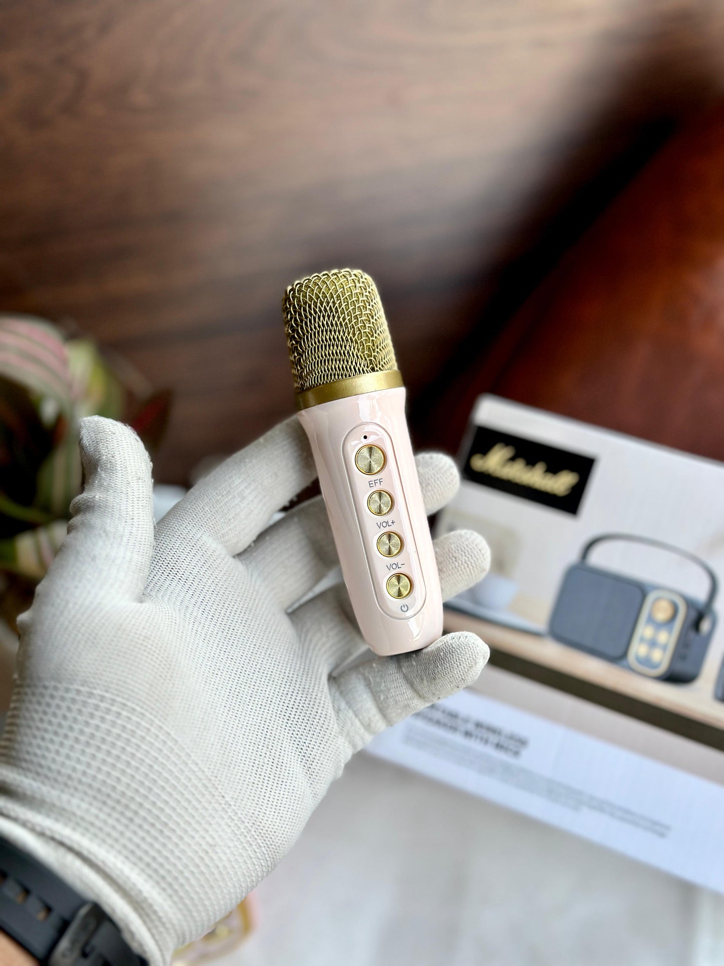 MARSHALL SPEAKER WITH MIC