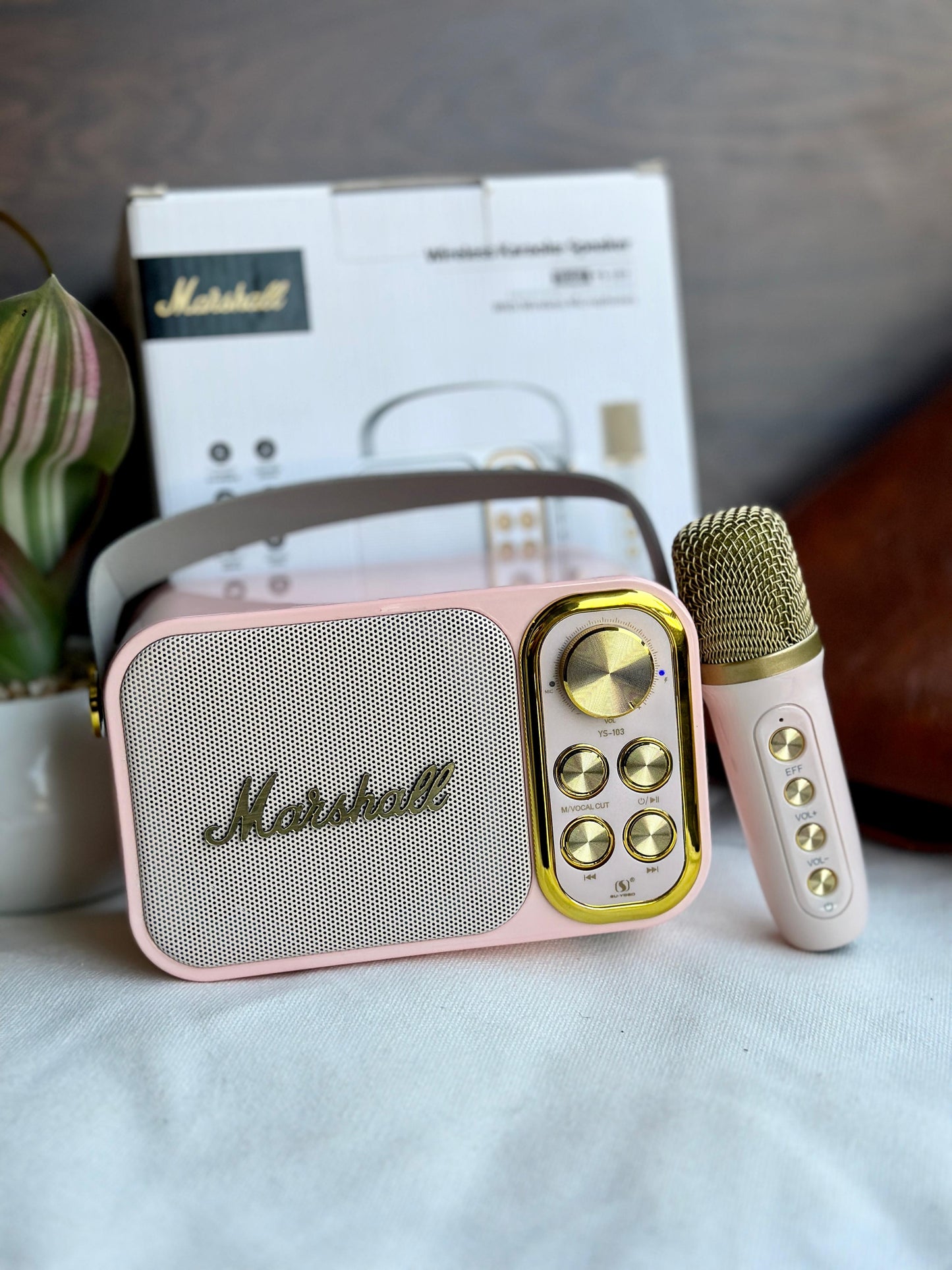 MARSHALL SPEAKER WITH MIC