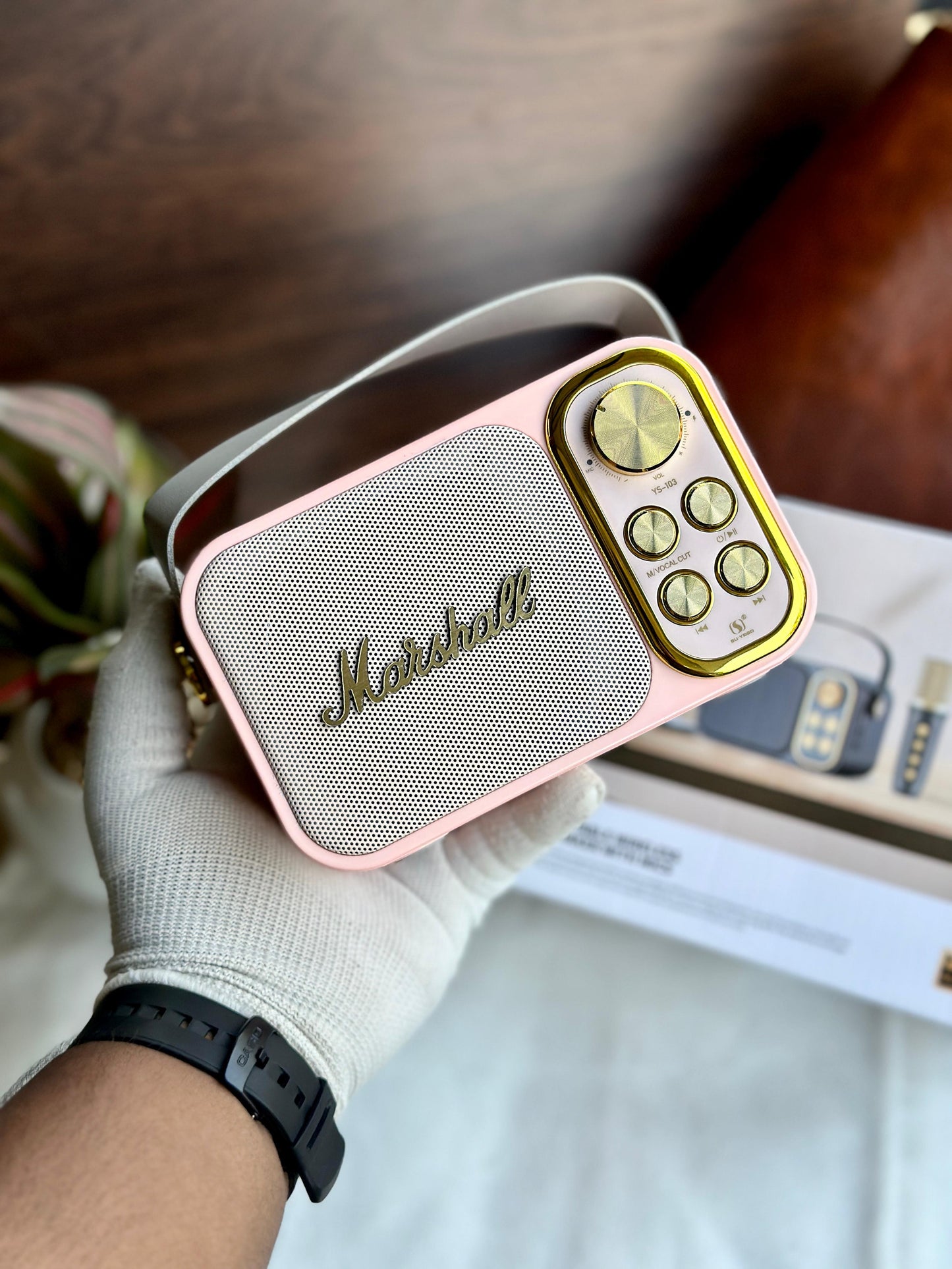 MARSHALL SPEAKER WITH MIC