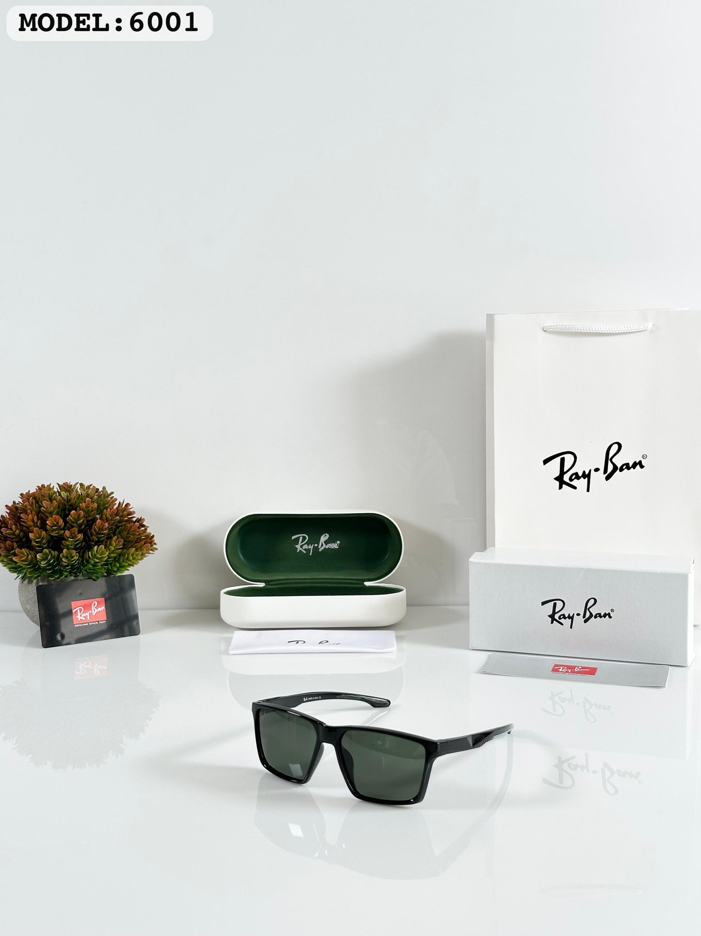 RAYBAN SUNGLASS