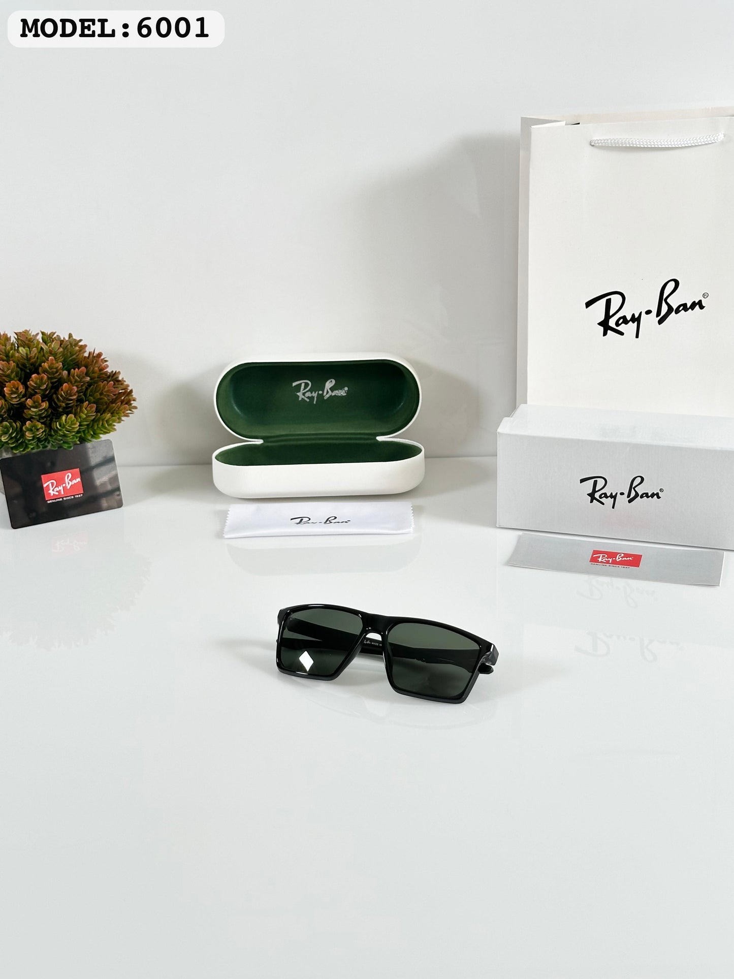 RAYBAN SUNGLASS