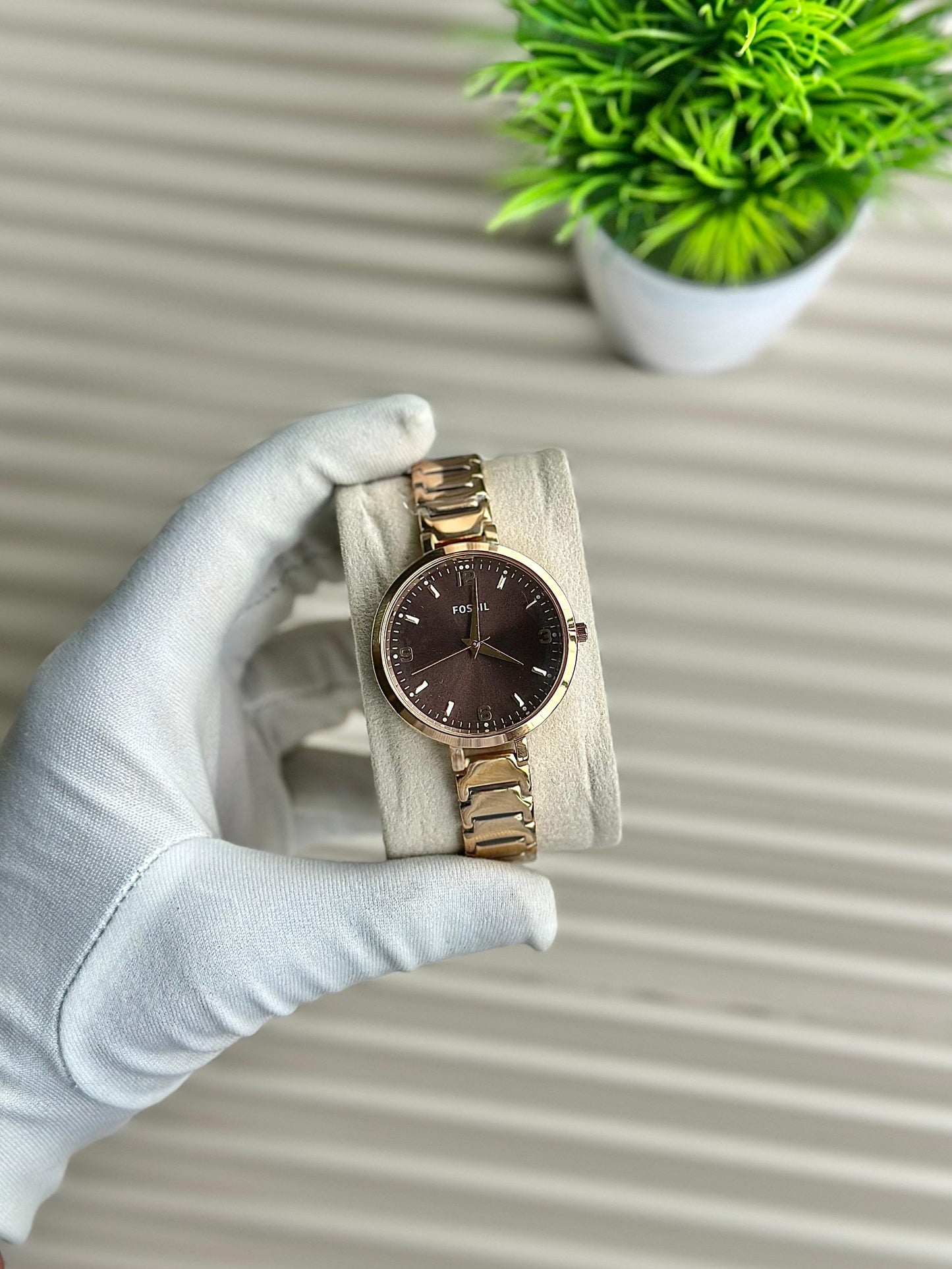 FOSSIL WATCH