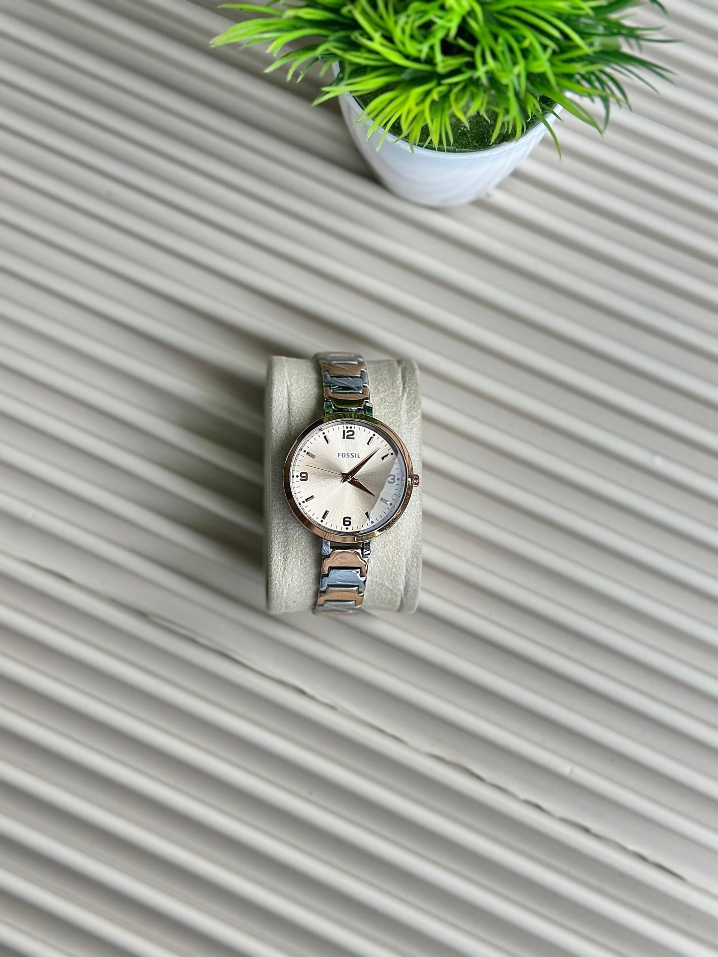 FOSSIL WATCH