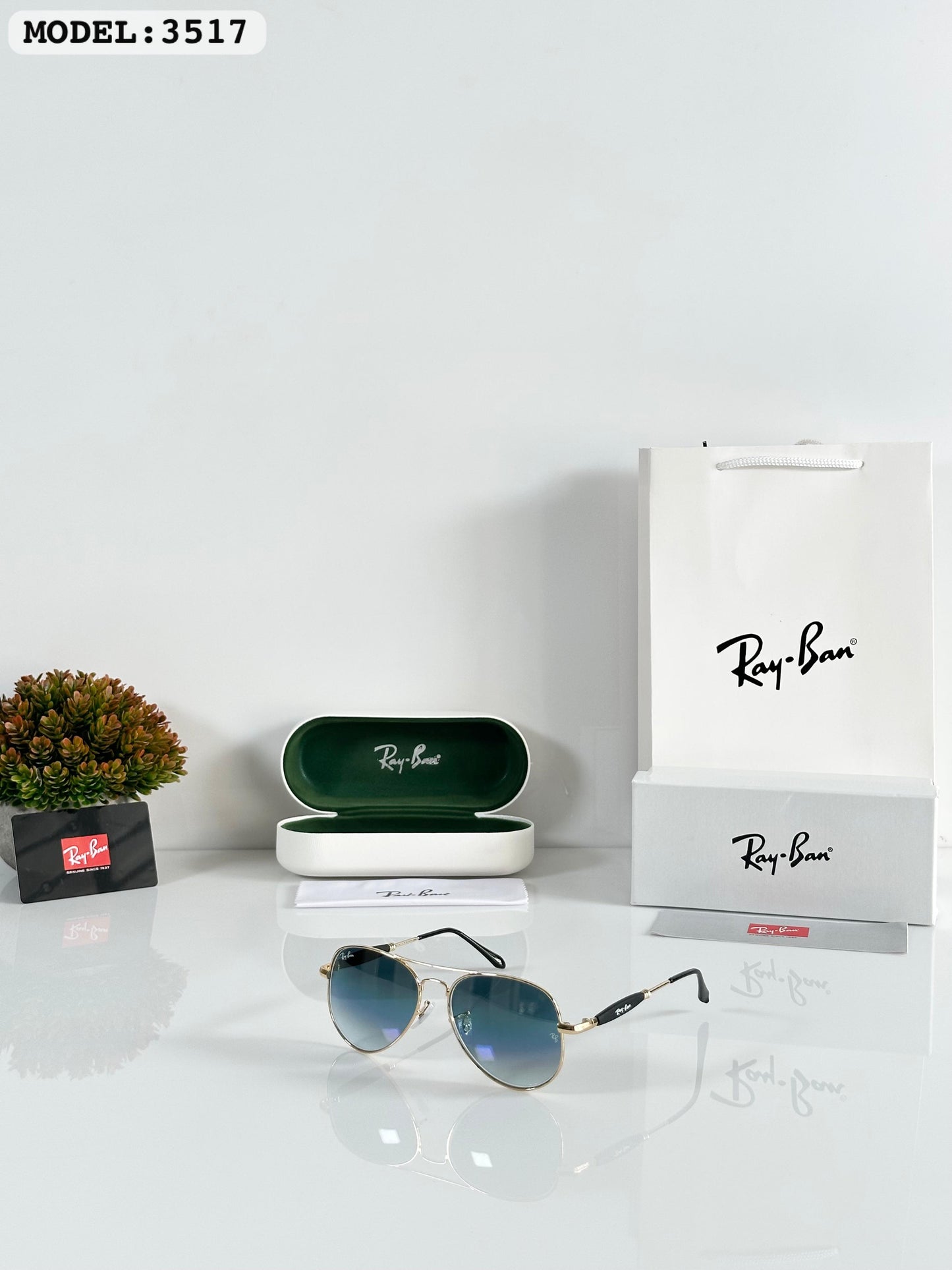 RAYBAN SUNGLASS