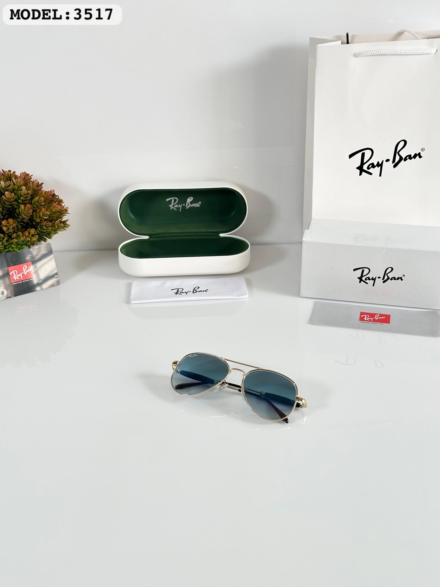 RAYBAN SUNGLASS