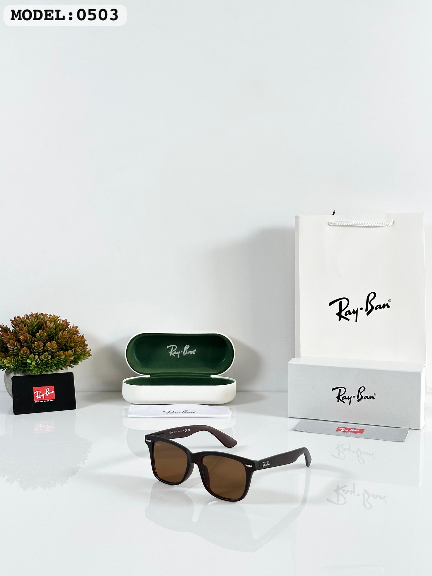 RAYBAN SUNGLASS