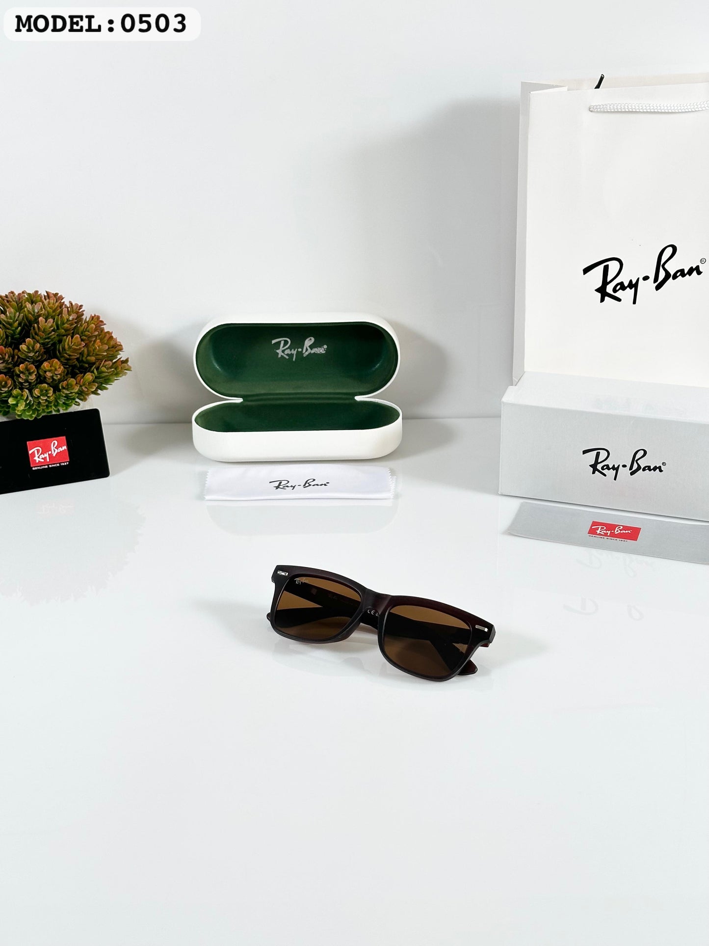 RAYBAN SUNGLASS
