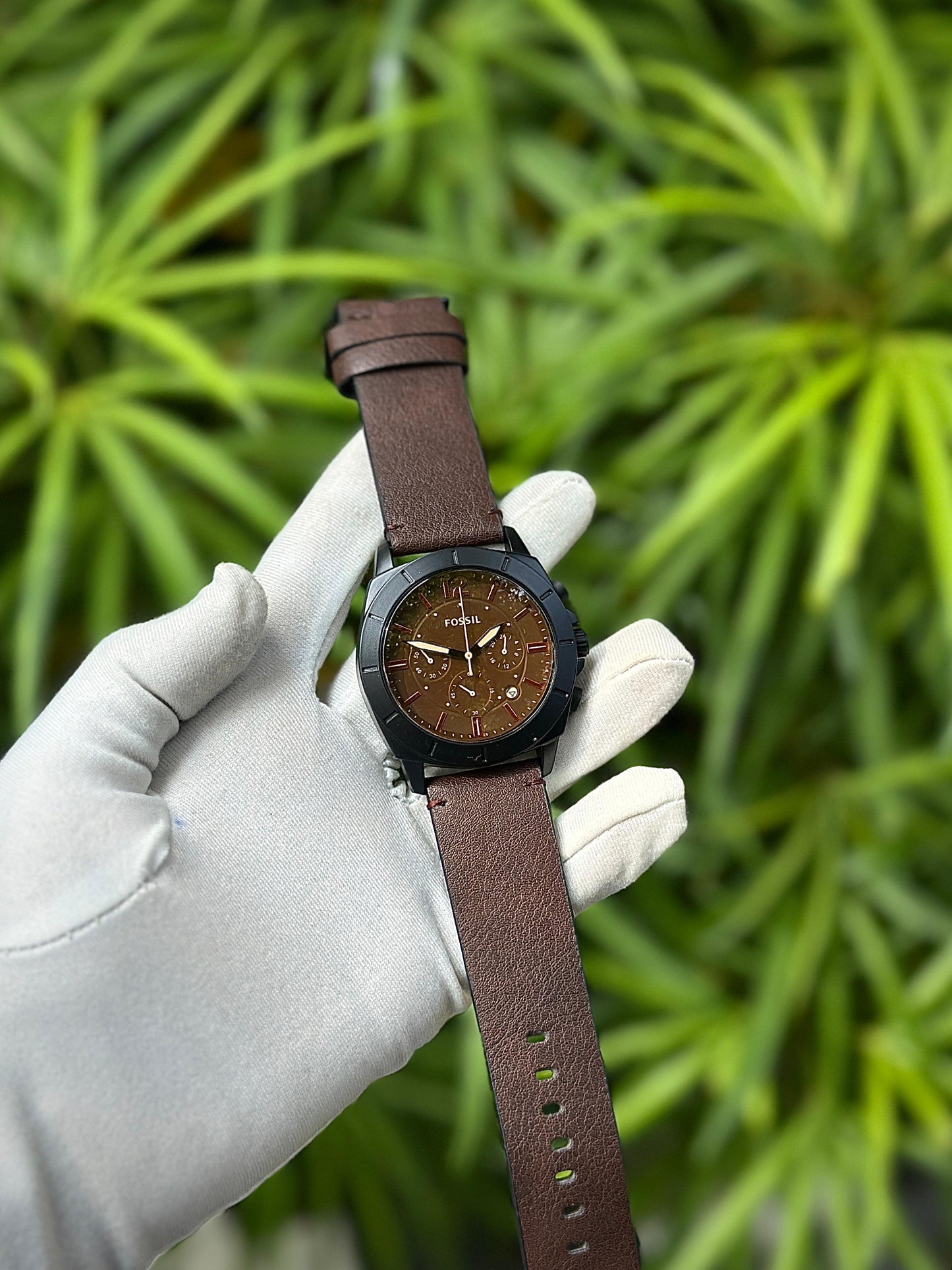 FOSSIL WATCH