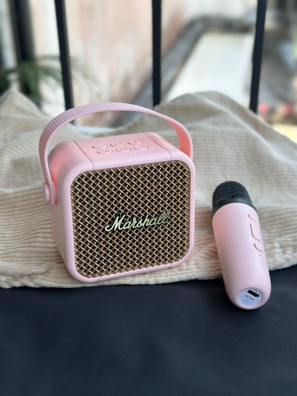 SPEAKER
