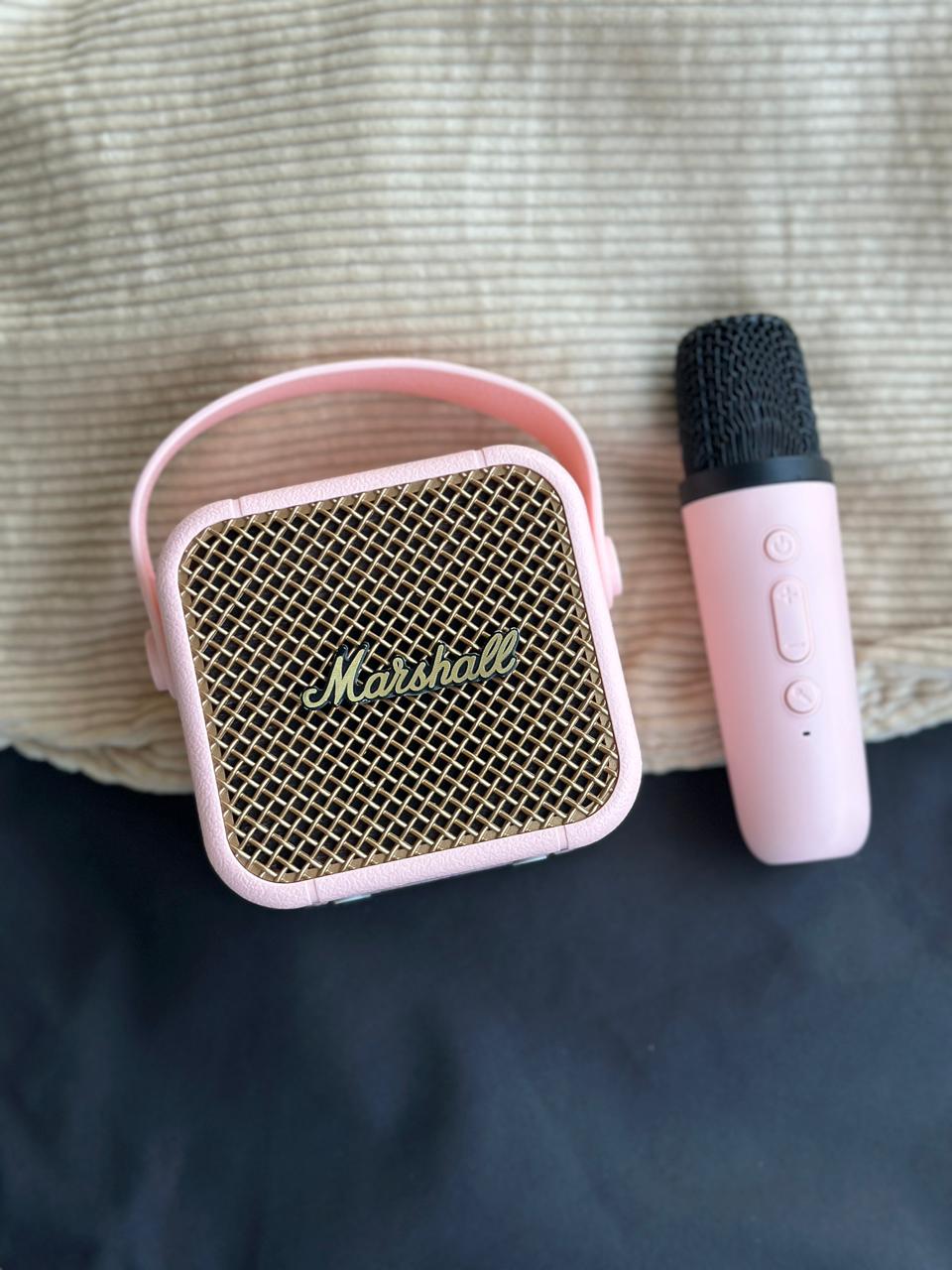 SPEAKER