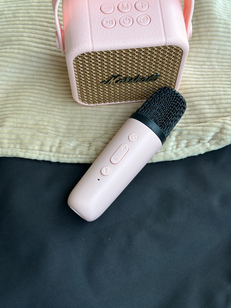 SPEAKER