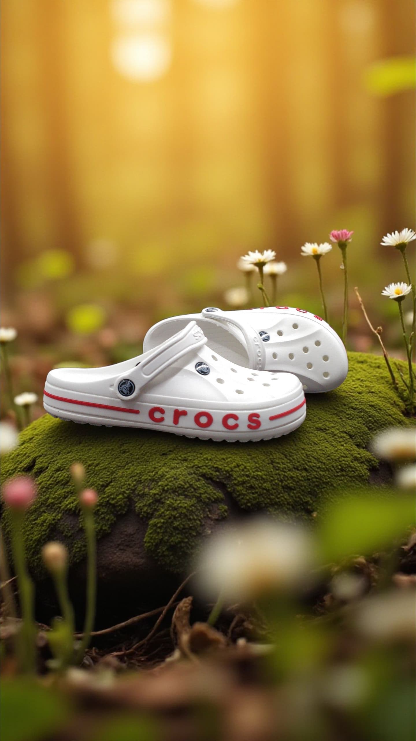 CROCS