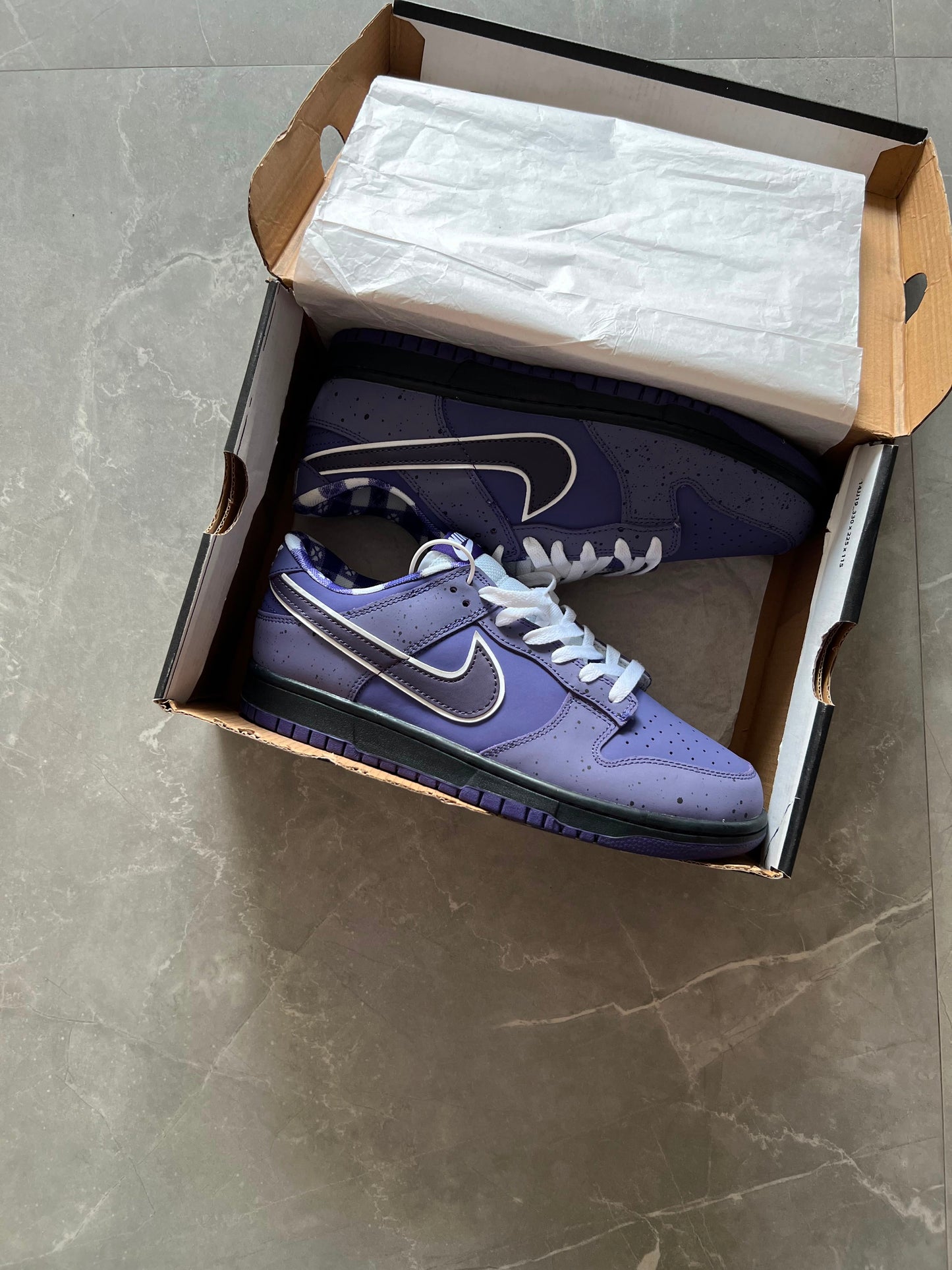 NIKE SB  DUNK LOBSTER