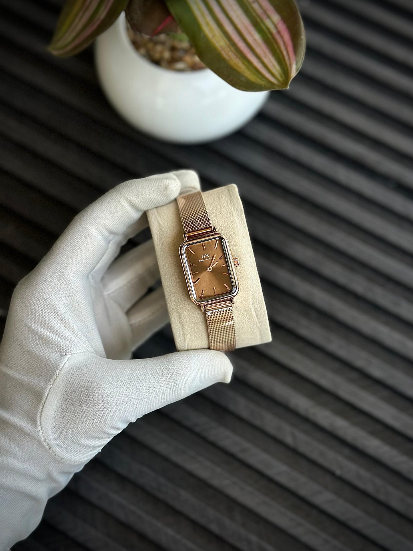 DANIEL WELLINGTON WATCH