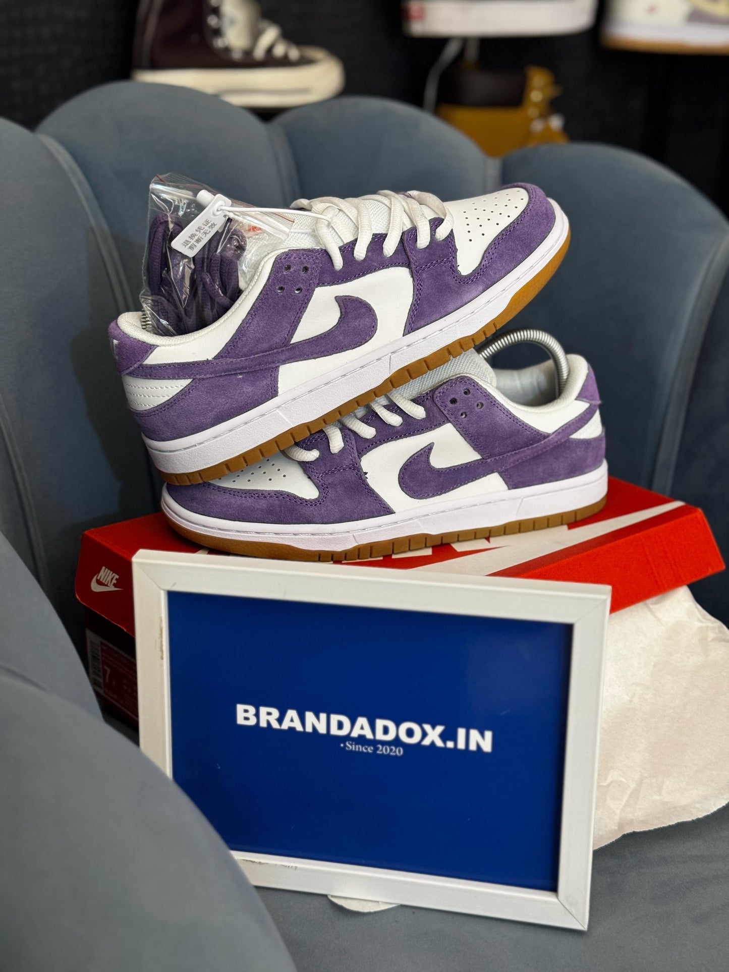 NIKE SB DUNK LOW COURT PURPLE