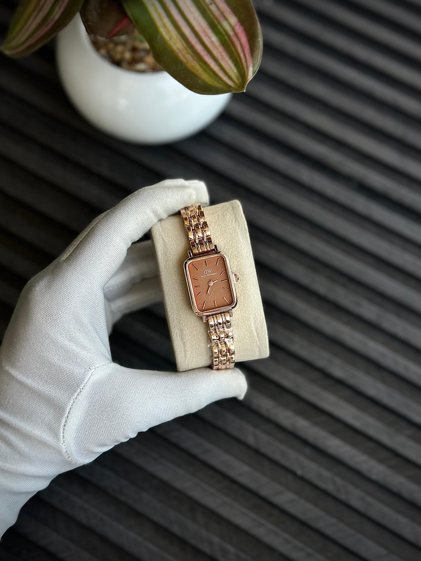 DANIEL WELLINGTON WATCH