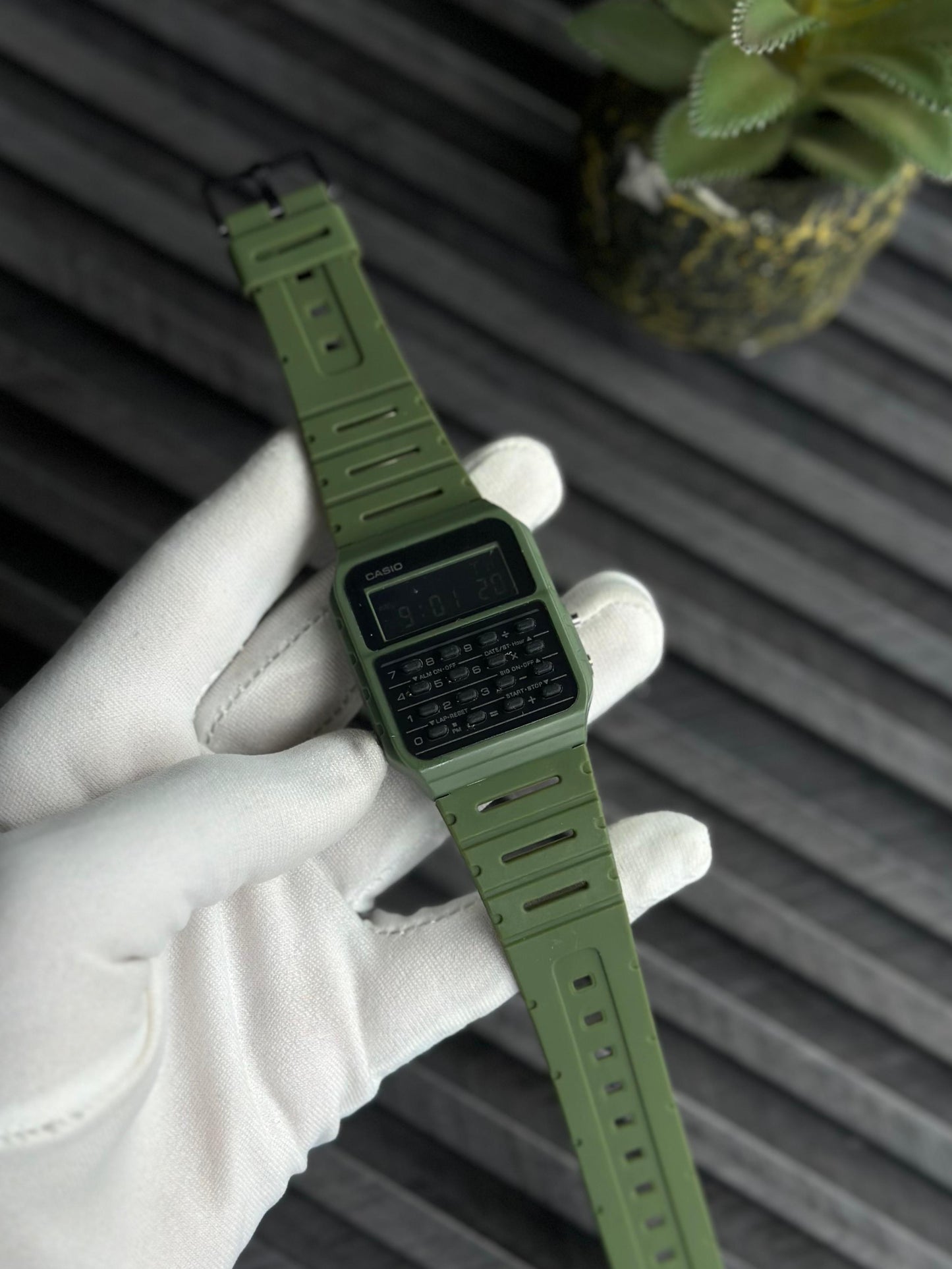 CASIO WATCH