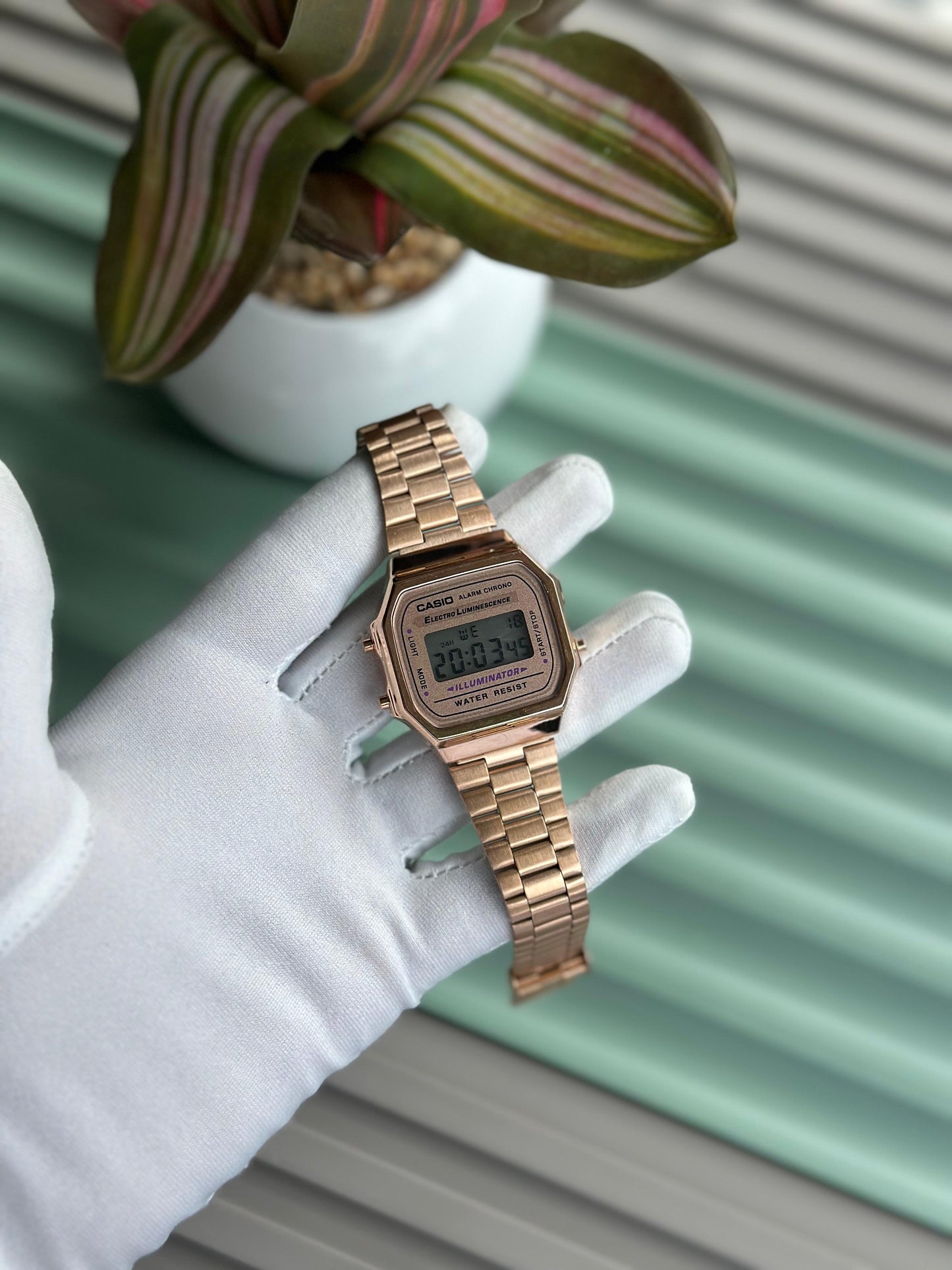 CASIO WATCH