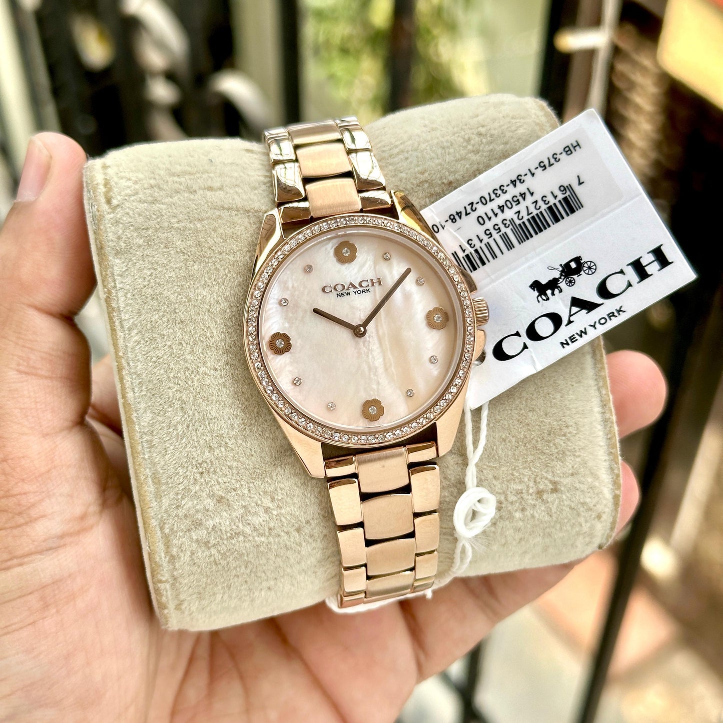COACH WATCH