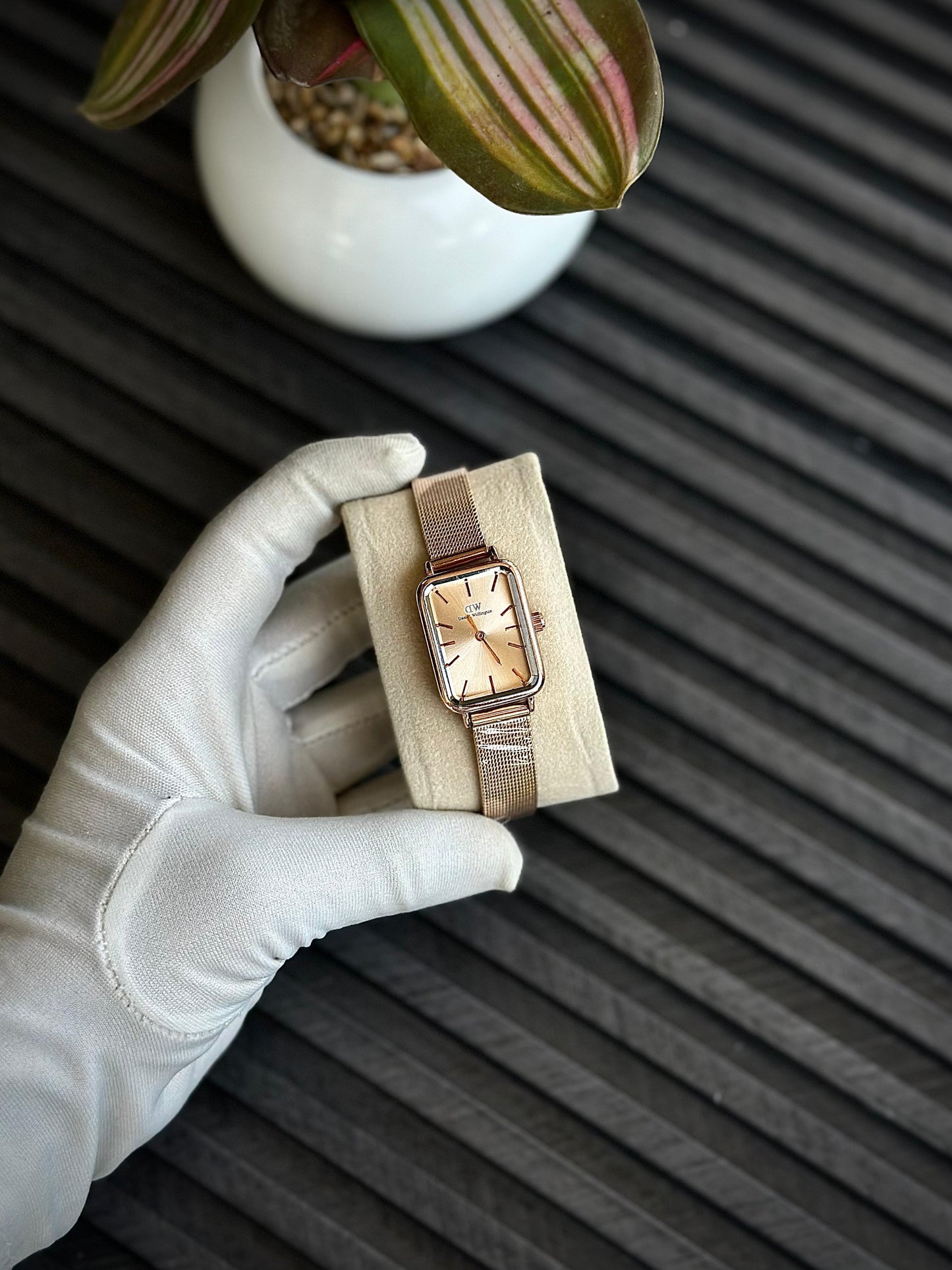 DANIEL WELLINGTON WATCH