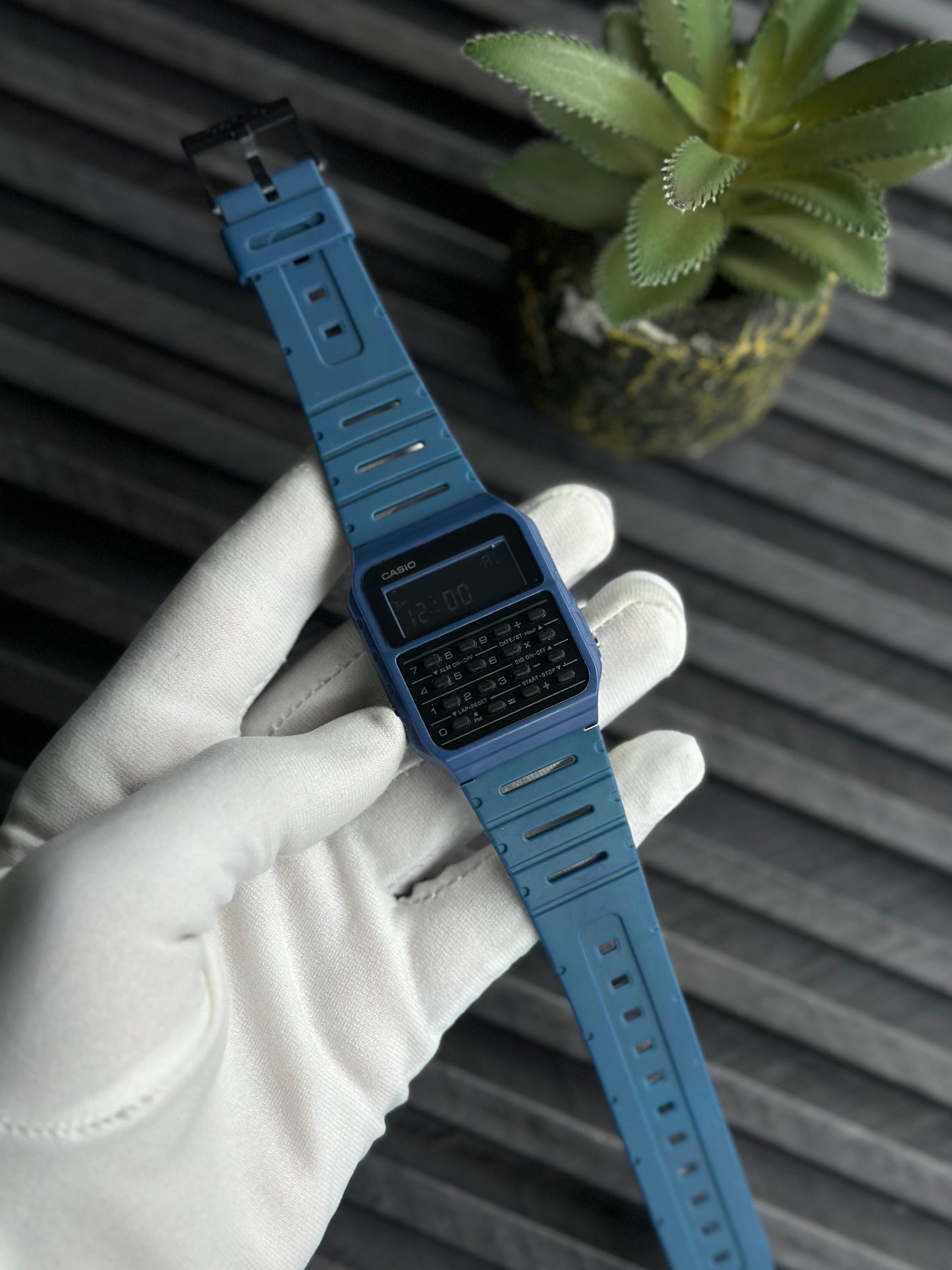 CASIO WATCH
