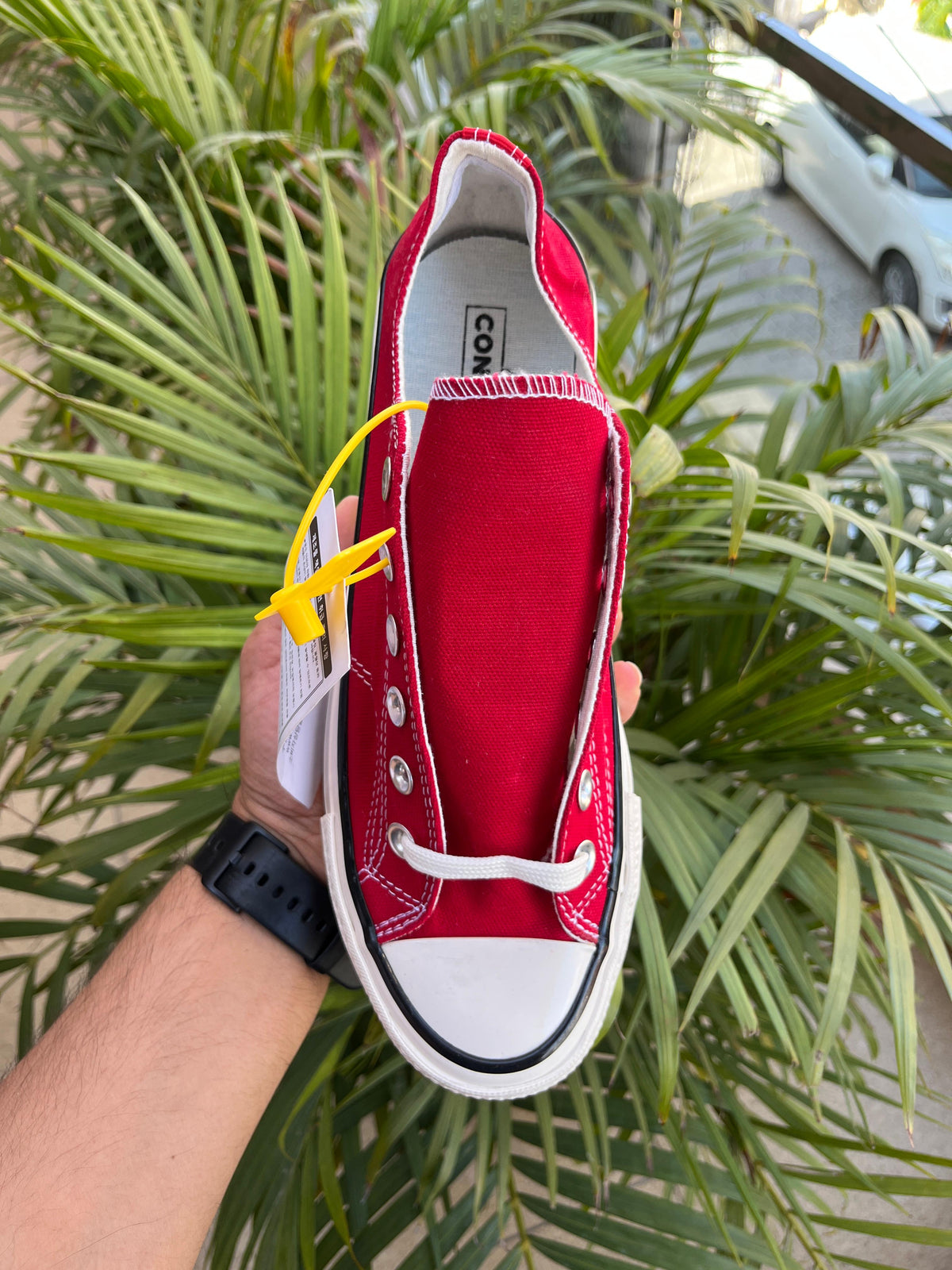 CONVERSE LOW
