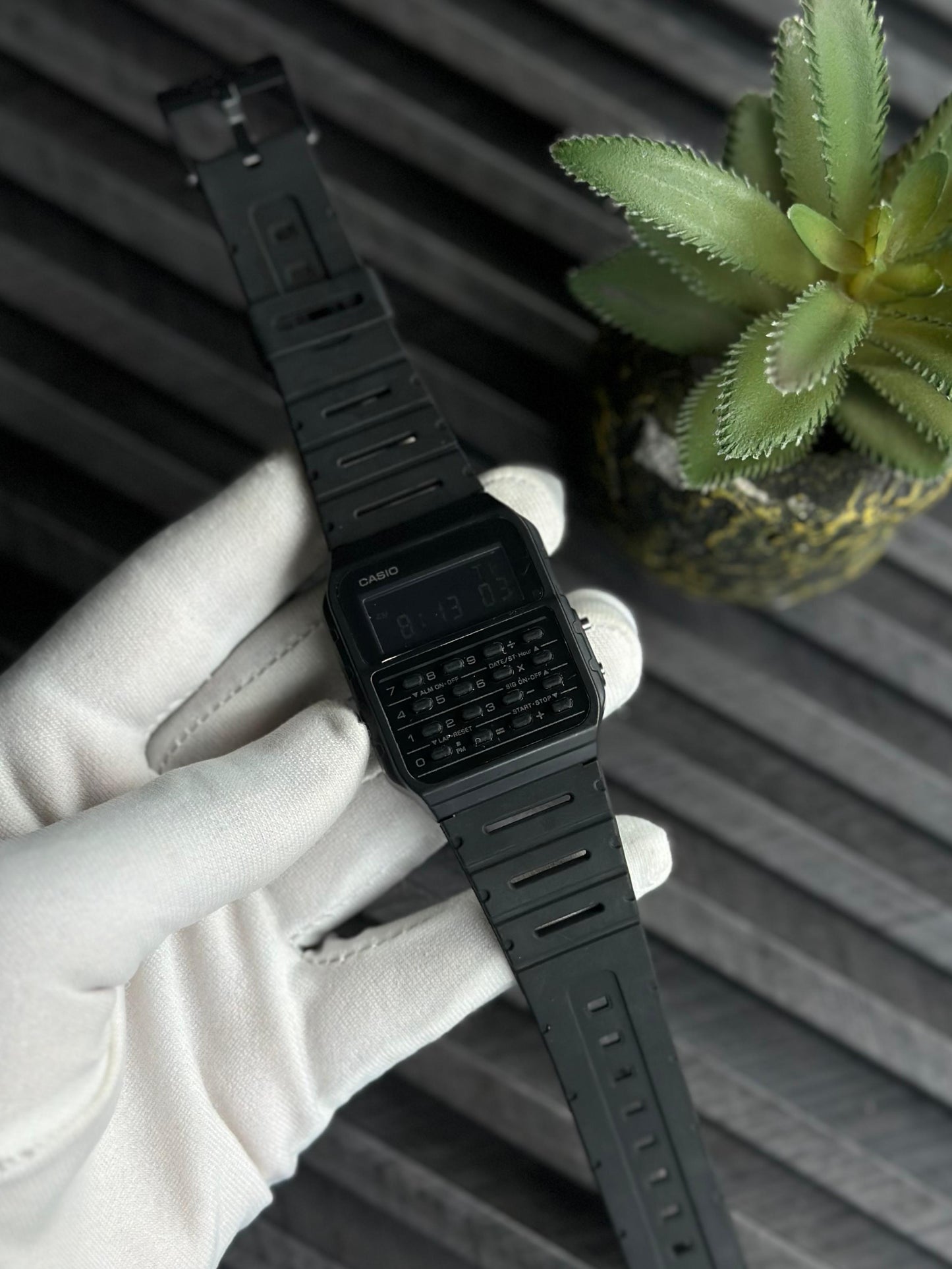 CASIO WATCH