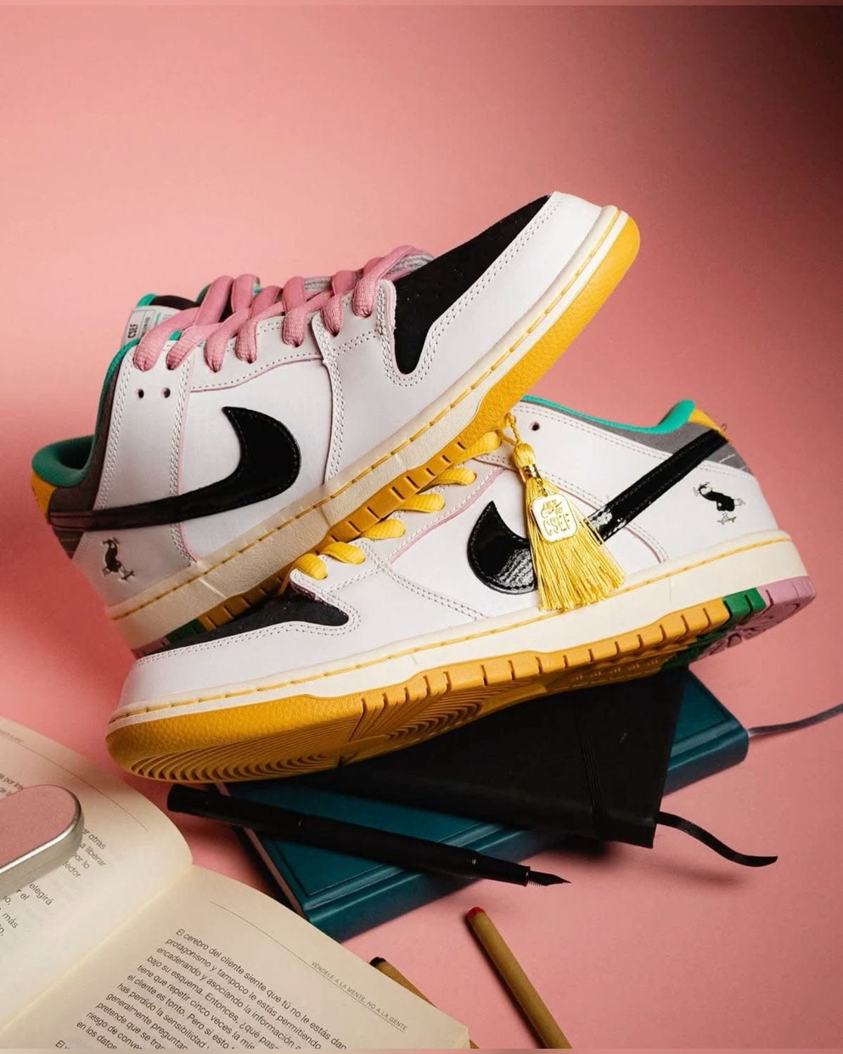 NIKE SB  DUNK CSEF SKATEBOARD